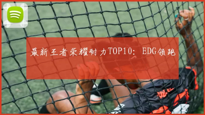 最新王者荣耀耐力TOP10：EDG领跑