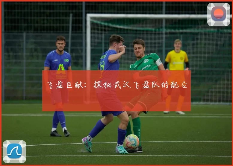 飞盘巨献：探秘武汉飞盘队的配合