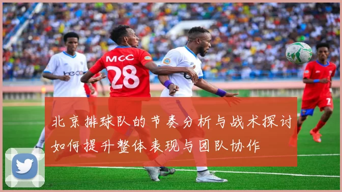 北京排球队的节奏分析与战术探讨如何提升整体表现与团队协作