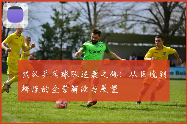 武汉乒乓球队逆袭之路：从困境到辉煌的全景解读与展望