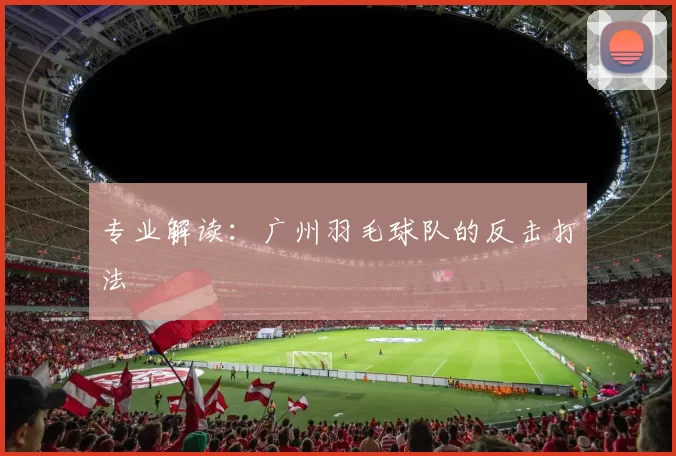 专业解读：广州羽毛球队的反击打法