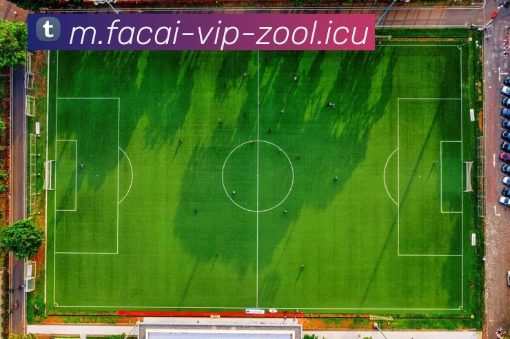 乐鱼体育平台生态图