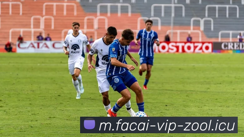 乐鱼体育APP 封面图